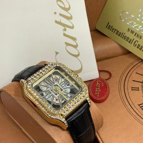 Cartier Stone Head Skeleton Leather Wristwatch